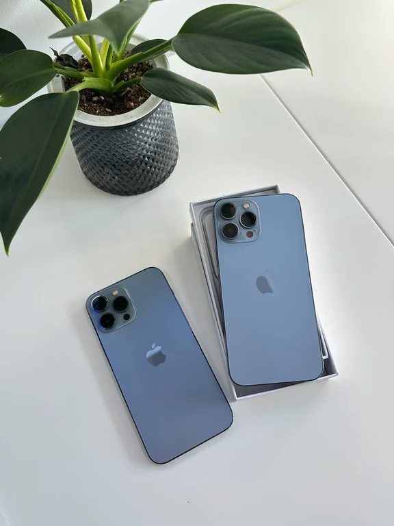 Two blue iPhone Pro models placed on a white desk next to a potted green houseplant