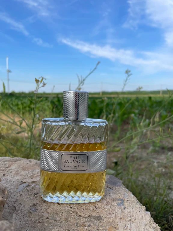 A vintage glass bottle of Christian Dior Eau Sauvage placed outdoors on a stone ledge.