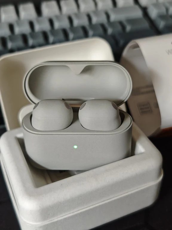 Grey noise-cancelling in-ear earbuds resting inside their open charging case on packaging