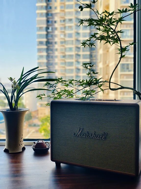Marshall home speaker with vintage fabric grille on a wooden windowsill next to a potted bonsai and tea set